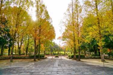 【福岡県春日市】行政書士が建設業許可申請を代行します